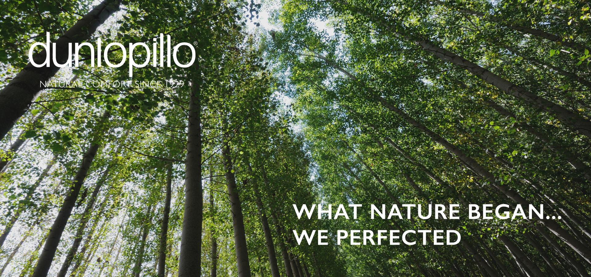 2-PTDI-Website--Banner_1920x900px